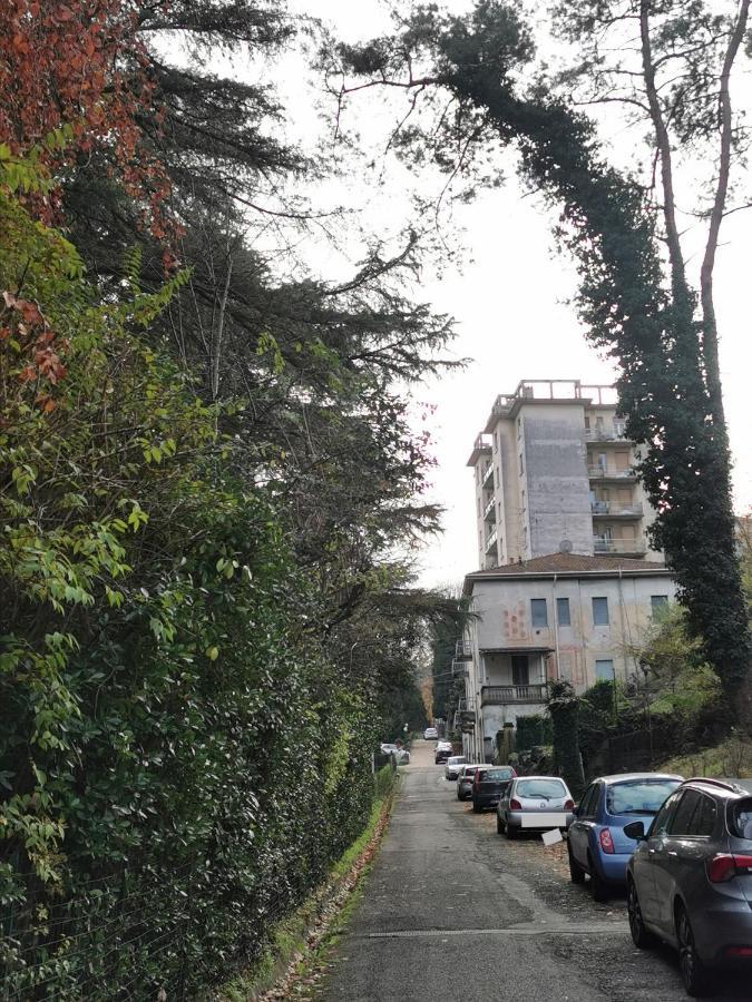 Lovely View Albizzate エクステリア 写真